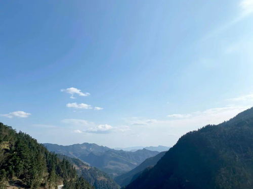 綠水青山里的特色水產養殖