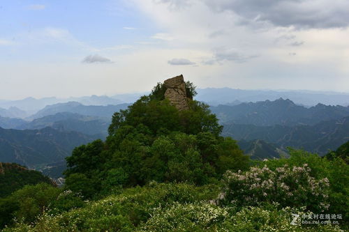 河北淶水野三坡 百草畔山景