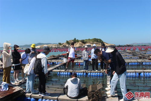 在工廠車間 田間地頭做好調(diào)查研究