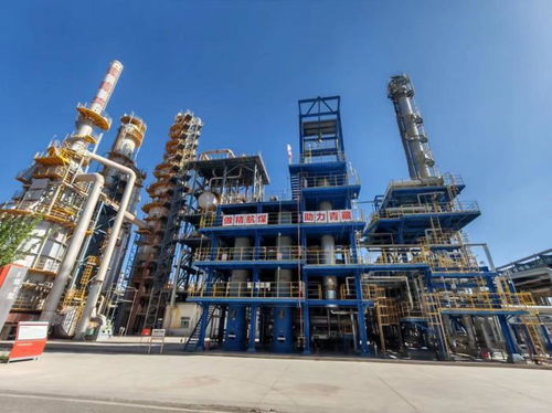 中阿經貿投資 京津冀環(huán)渤海 交流會在北京舉行