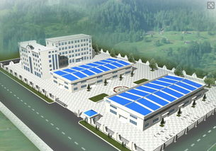 二次沖刺ipo,這家紙尿褲公司到底什么來頭