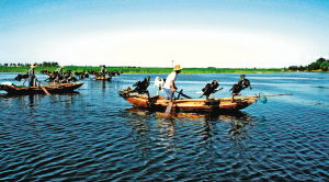 尋覓雄安新區(qū)周邊那些備受歡迎的特色美景