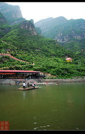 野兔 野三坡珍珠泉風(fēng)光