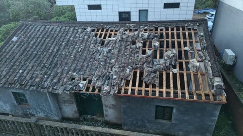 這仨已轉(zhuǎn)型的調(diào)查記者,一個賣酒,一個賣獼猴桃,還有一個忙救災(zāi)