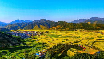 浙江數(shù)字鄉(xiāng)村建設又邁進一步 這些地方率先試點示范數(shù)字鄉(xiāng)村和數(shù)字農(nóng)業(yè)工廠