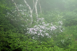 悟聞 2013年6月初河北野三坡之旅