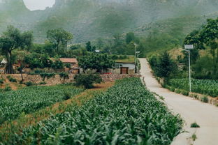 北京周邊京郊農家小院兒精品民宿 周末親子團建度假游 河北保定野三坡十渡 野望鄉居 包含一晚住宿 下午茶 健康山村粗糧早餐