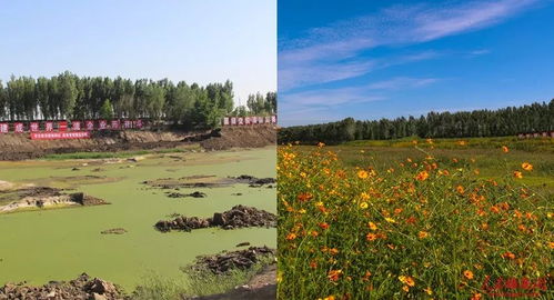 倍投計算器中彩神