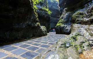 野三坡百里峽 音樂會 河燈節 樂谷銀灘精品2日游