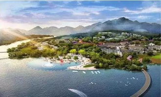 鄉村項目實施全流程操作指南