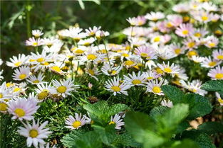 帶著孩子,住野三坡山谷里的最美民宿,看露天電影,吃燜飯,戲水漂流