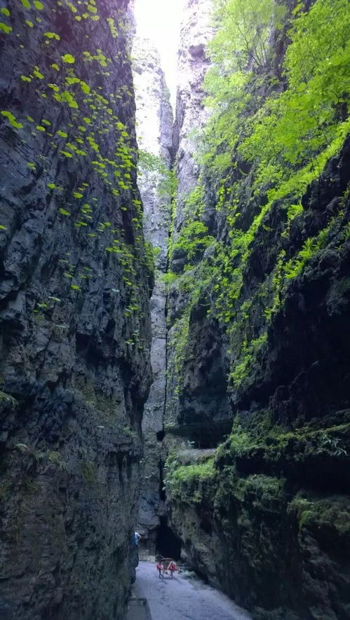 野三坡 百里峽游記