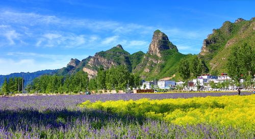 久等了 榮盛康旅野三坡送您免費(fèi)旅居置業(yè)游