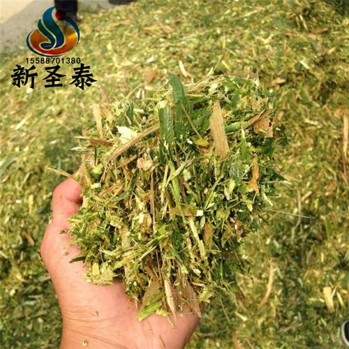 云南低噴柔絲機