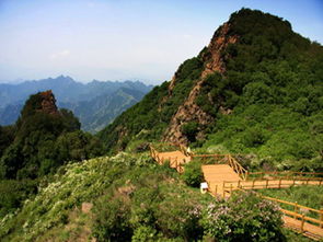 野三坡2日1晚跟團(tuán)游 百里峽 盤壁玻璃棧道 十渡龍湖灣 品特色虹鱒魚 彩虹谷 游覽七彩小鎮(zhèn) 拒馬樂(lè)園點(diǎn)評(píng)