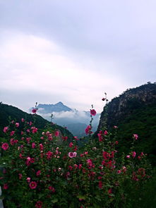 2017野三坡百里峽野生攻略