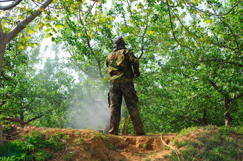 農產品圖片素材下載 農林漁牧素材下的瓜果種植圖片素材