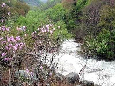 自駕游野三坡 穿過百里峽谷
