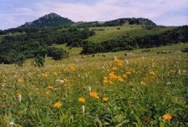 野三坡百里峽 白草畔 東湖港2日 天津出發(fā) 途牛