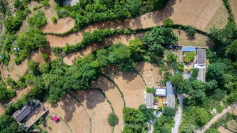 這是一份 森系生日派對 的完美解決方案