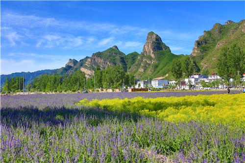 春風(fēng)十里不如你,三月女神節(jié)榮盛康旅野三坡度假區(qū)恭迎女神駕到