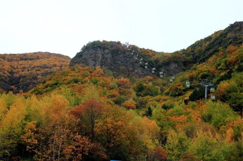 相約野三坡 全國攝影藝術大展征稿啟事