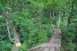 官方發布2013野三坡百草畔風景精選