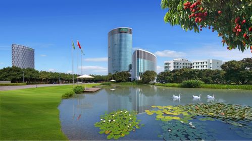 全國政協(xié)委員 三棵樹董事長洪杰呼吁 購買指定范圍綠色建材 享受10 財(cái)政直補(bǔ)