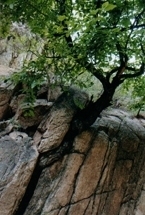 野三坡住宿旅游次生森林谷_野三坡住宿旅游次生森林谷價(jià)格_野三坡住宿旅游次生森林谷廠家旅游服務(wù)